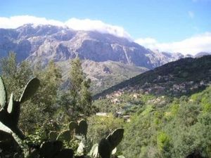 HERVE COUDREL PEUT-IL SERVIR DE DETONNATEUR ??