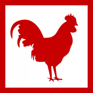 Fdesouche logo