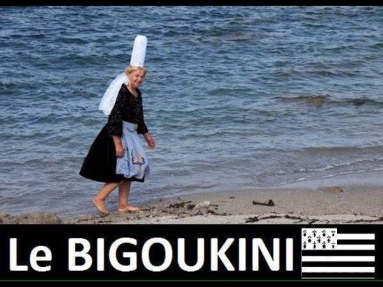 JPEG - 99.1 ko